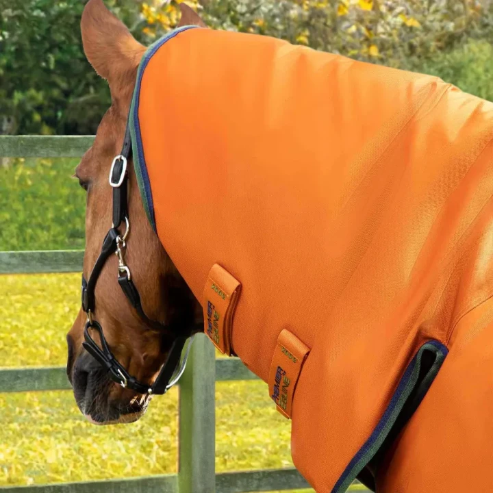 buster-storm-400g-combo-turnout-rug-with-classic-neck-6-Autumn-434792_1600x.webp
