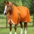 Buster-Hardy-400-Burnt-Orange-1-455226_1600x.webp