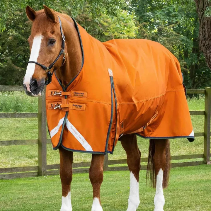 Buster-Hardy-400-Burnt-Orange-1-455226_1600x.webp