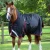 buster-hardy-400-black-1-275718_1600x.webp