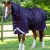 buster-storm-420-purple-1_06595729-6c4e-4fb2-a7e2-f2dc8281cec1-246613-388927_1600x.webp