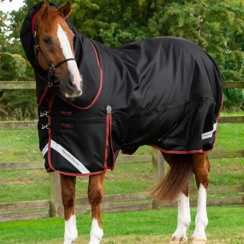 Titan-450-Turnout-Rug-Black-1_1600x.webp