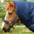 Titan-450-Turnout-Rug-Navy-2_20fe0c7c-c95d-44ad-b583-0c779ccbfe38_1600x.webp