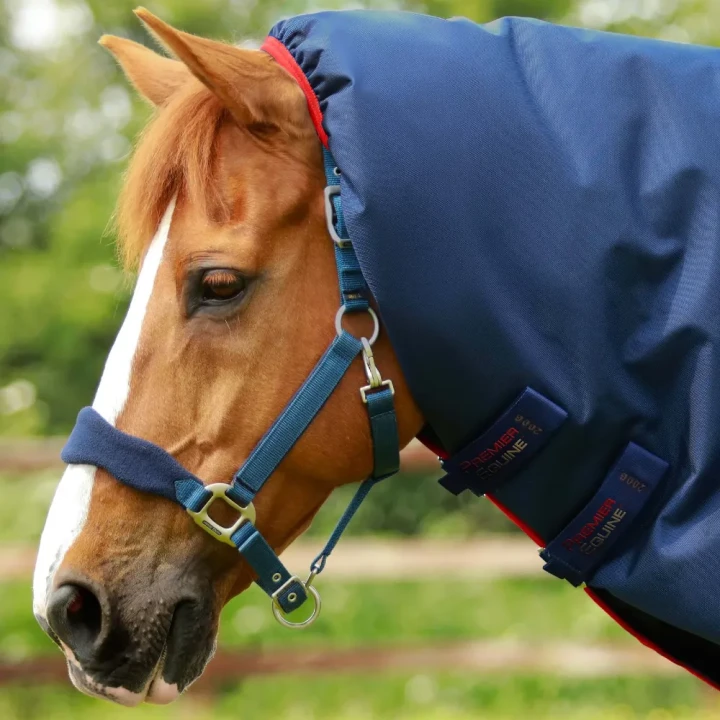 Titan-450-Turnout-Rug-Navy-2_20fe0c7c-c95d-44ad-b583-0c779ccbfe38_1600x.webp