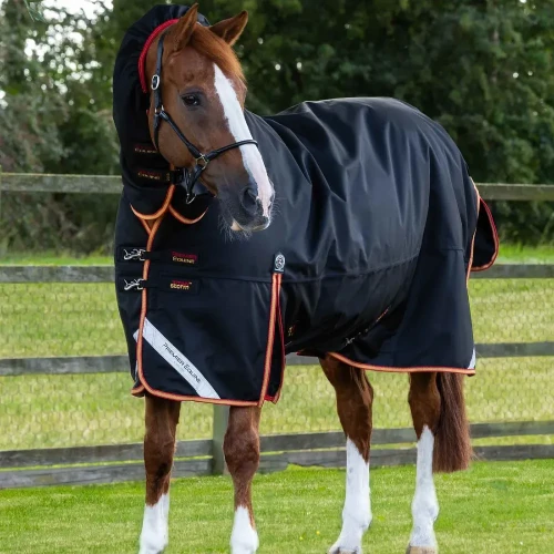 Titan-Storm-450-Turnout-Rug-Black-1_1600x.webp