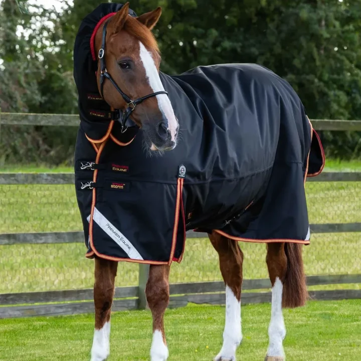 Titan-Storm-450-Turnout-Rug-Black-1_1600x.webp