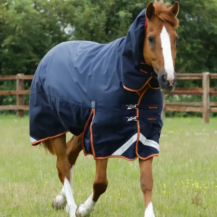 Titan-Storm-450-Turnout-Rug-Navy-1-431895-708614_1600x.webp