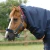 Titan-Storm-450-Turnout-Rug-Navy-2_1600x.webp
