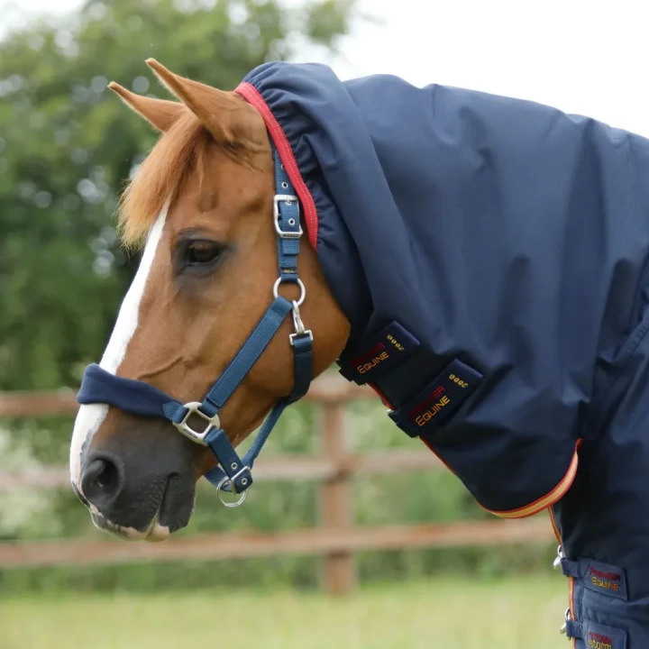 Titan-Storm-450-Turnout-Rug-Navy-2_1600x.webp