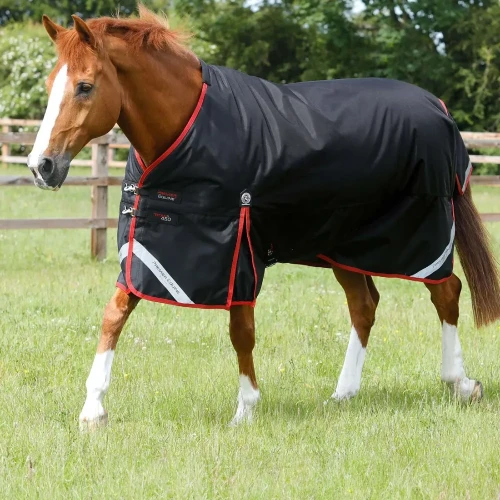 Titan-450-Original-Turnout-Rug-Black-1_f64862ef-f673-4639-afff-dd4e75f56623-697729_1600x.webp
