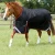 Titan-450-Original-Turnout-Rug-Black-1_f64862ef-f673-4639-afff-dd4e75f56623-697729_1600x.webp