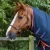 Stable-Buster-450-Stable-Rug-Navy-2_1600x.webp