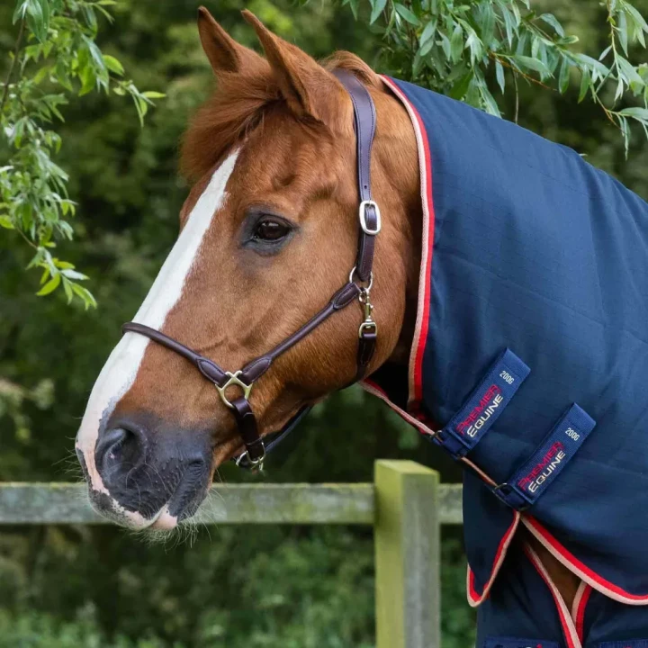 Stable-Buster-450-Stable-Rug-Navy-2_1600x.webp