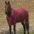 Airtech-mesh-horse-cooler-rug-burgundy-1_9e2a8546-232c-4b68-8399-cbcd5c9ce25e_1600x.webp