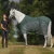 Atlas-mesh-horse-cooler-rug-green-marketing-banner-desktop_1800x.webp