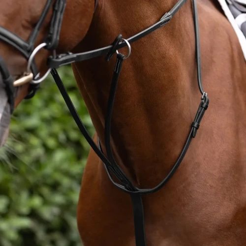 Running-Martingale-black-1_1600x.webp