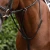 Running-Martingale-black-1_1600x.webp