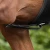 Running-Martingale-black-4_1600x.webp