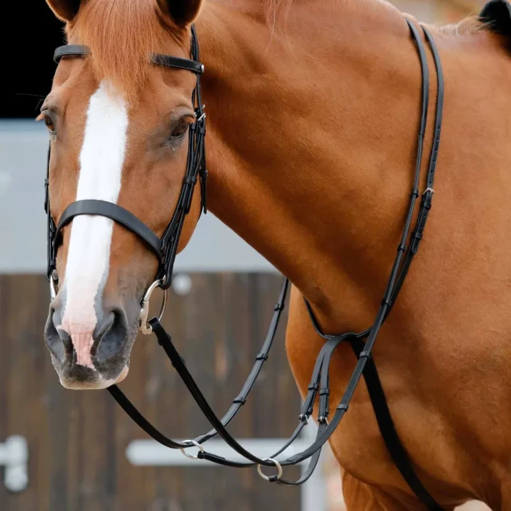 Santadi-Adjustable-Running-Martingale-Black-2_b207ca4a-fbea-42ac-806d-d1675c8b2788_1600x.webp