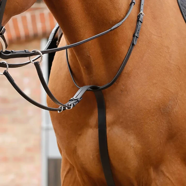 Santadi-Adjustable-Running-Martingale-Black-1_eb6faeba-4e36-4707-84d6-6346b3db7512_1600x.webp