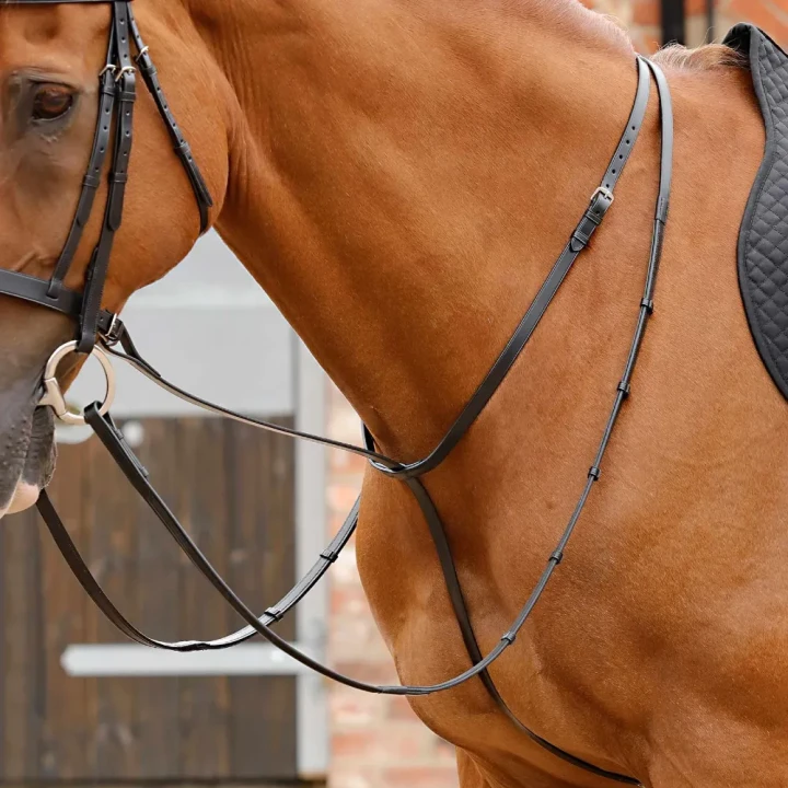 Gressan-Standing-Martingale-Black-1-170229_1600x.webp