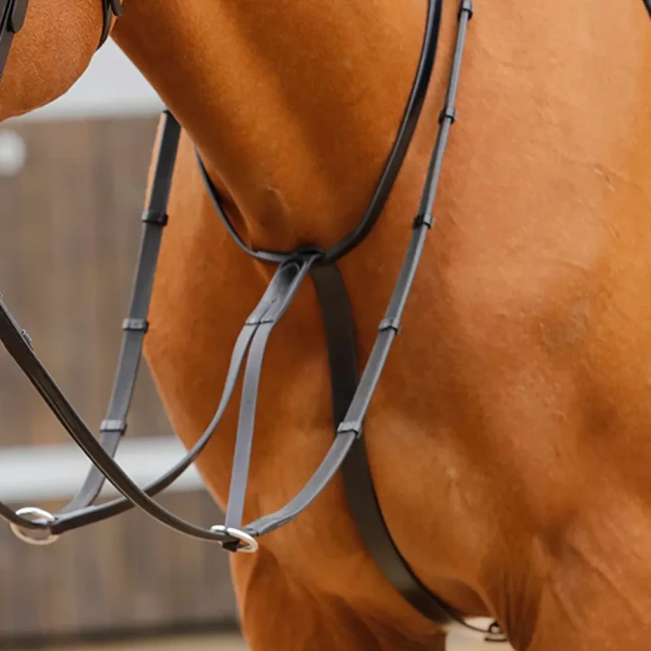 Fuscaldo-Running-Martingale-Black-1_a7678a3e-2e1e-48ff-8dbd-fb5dd6b1b011_1600x.webp