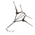 Invorio-5-Point-Breastplate-Brown-4_1600x.jpg