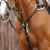 Invorio-5-Point-Breastplate-Black-3_1600x.webp