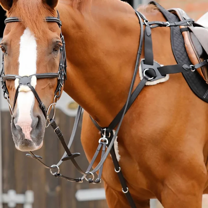 Invorio-5-Point-Breastplate-Black-1_4bc3bb0a-25af-4318-8ae7-0ea4de01d826-148129-983552_1600x.webp