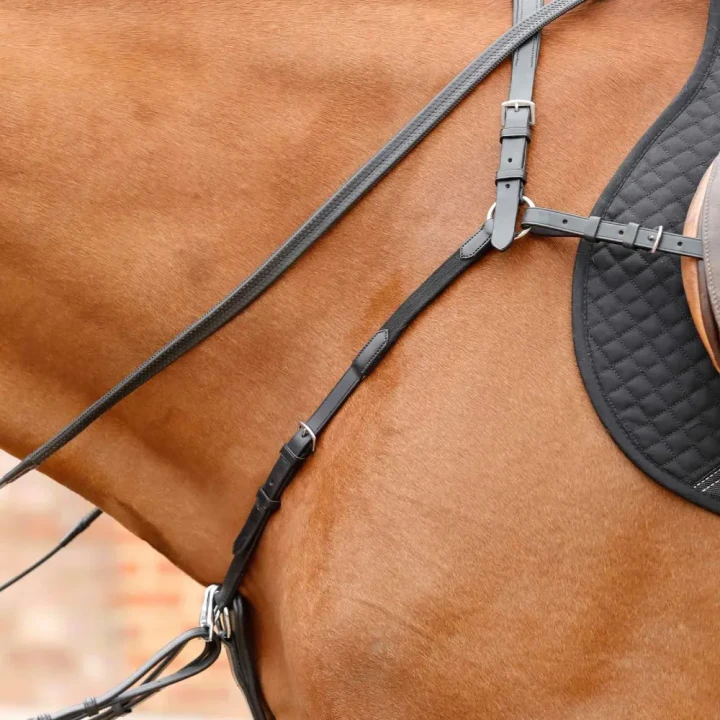 Valbrona-Performance-Breastplate-Black-2_4cafd04b-05c4-4dc1-8cdb-20efa49071de_1600x.webp