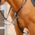 Valbrona-Performance-Breastplate-Black-1_7760fb43-b325-4151-8c4e-782b0c146675_1600x.webp