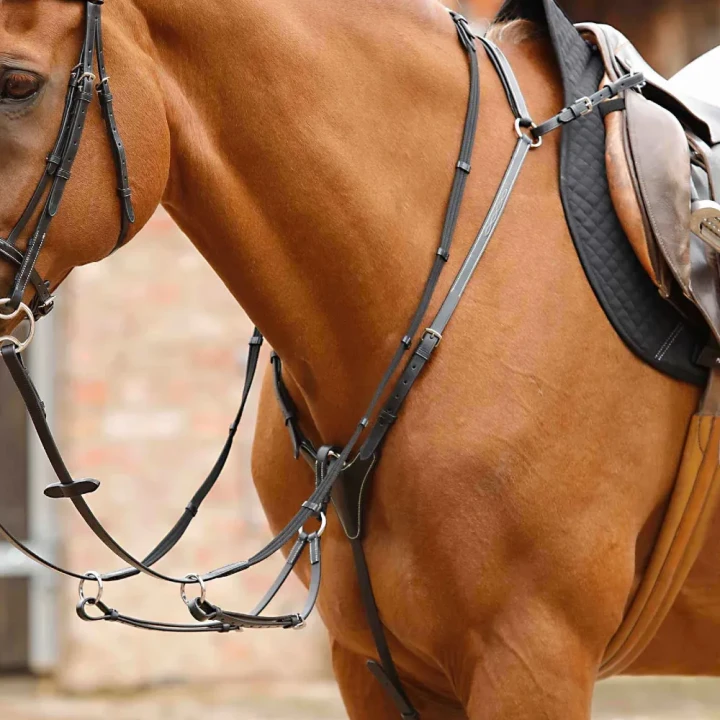 Norbello-Hunter-Breastplate-Black-1_07afd258-b4fd-49dc-a468-19bd4868d9b6_1600x.webp