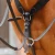Baressa-Elastic-Jumping-Breastplate-Black-3_1600x.webp