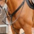 Baressa-Elastic-Jumping-Breastplate-Black-1-738615_1600x.webp