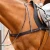 Zimella-Elastic-Breastgirth-Brown-1_1600x.webp