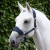 Necto-head-collar-navy-1_9d61152c-af1d-43a8-9214-87eb3b7fd987_1600x.png