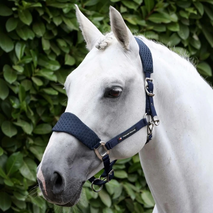 Necto-head-collar-navy-1_9d61152c-af1d-43a8-9214-87eb3b7fd987_1600x.png