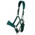 necto-head-collar-with-lead-rope-green-1_1600x.jpg