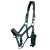 duco-head-collar-with-lead-rope-green-1_5ecb3abb-c532-4540-8d96-8284dd36bb5a-123836_1600x.jpg