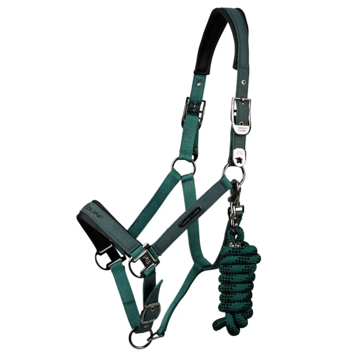 duco-head-collar-with-lead-rope-green-1_5ecb3abb-c532-4540-8d96-8284dd36bb5a-123836_1600x.jpg