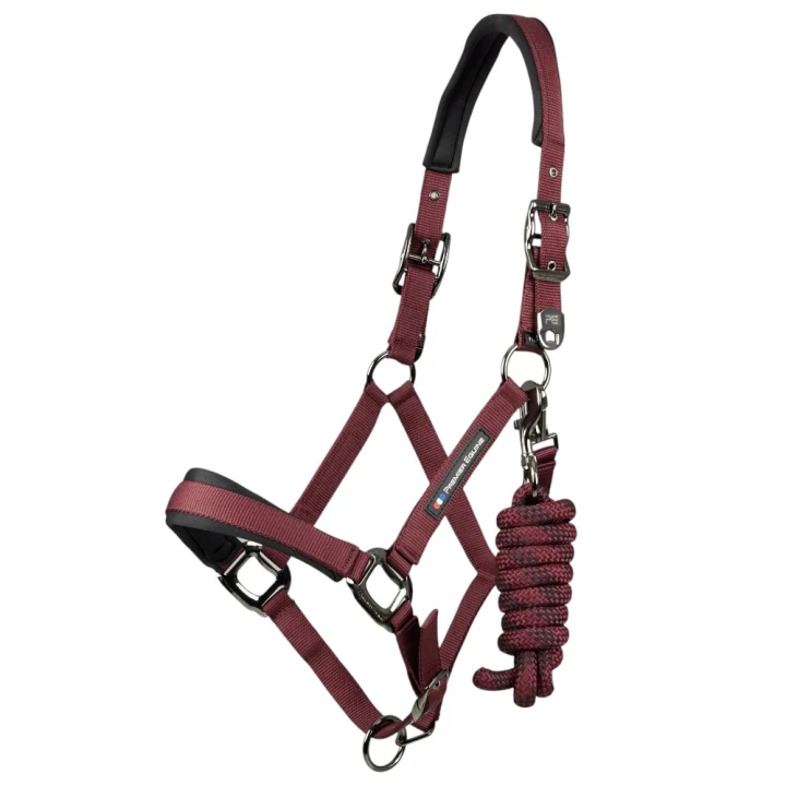 corda-head-collar-with-lead-rope-burgundy-1_41b0a1be-4865-4e5c-878b-74dd99b4f9cd_1600x.jpg