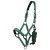 corda-head-collar-with-lead-rope-green-1_70ed2a24-a9e2-4969-80fc-501d963605b9_1600x.jpg