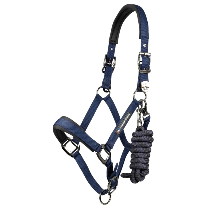 corda-head-collar-with-lead-rope-navy-1_9c1b834a-2f06-4a2a-9275-4829806551ef_1600x.jpg