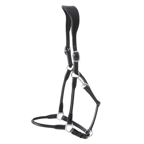 Hennaroso-Rolled-Anatomic-Leather-Headcollar-Black-5_0b896b81-dbf3-4cfc-95fc-3e1a4b23fedd_1600x.jpg