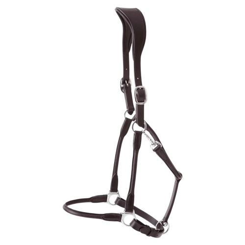 Hennaroso-Rolled-Anatomic-Leather-Headcollar-Brown-2_1600x.jpg