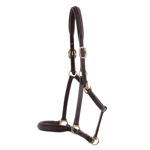 Padded-Leather-Head-Collar-Brown-6_3a1c2400-4081-41da-932a-070d9f04a36f_1600x.jpg