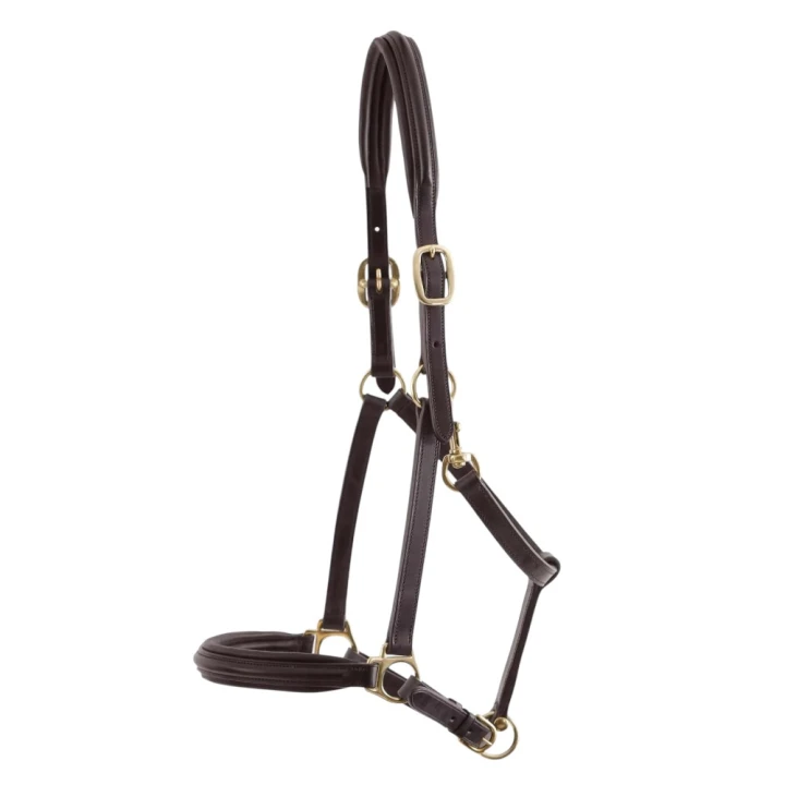 Padded-Leather-Head-Collar-Brown-6_3a1c2400-4081-41da-932a-070d9f04a36f_1600x.jpg