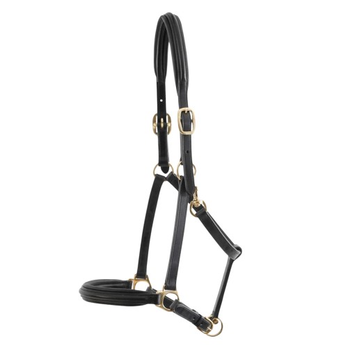 Padded-Leather-Head-Collar-Black-6_1600x.jpg