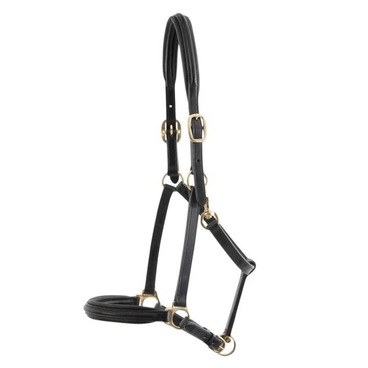 Padded-Leather-Head-Collar-Black-6_1600x.jpg