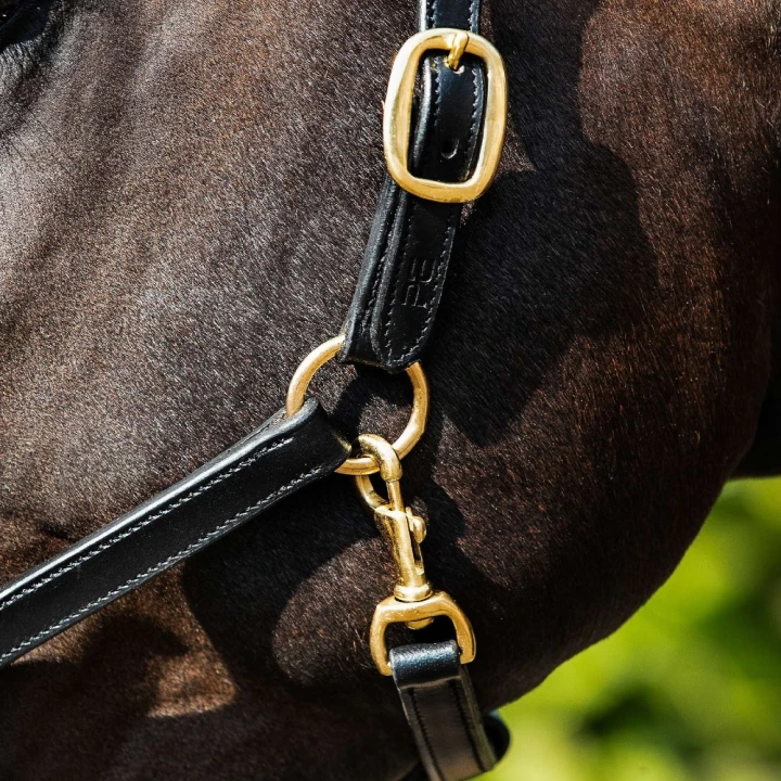 Padded-Leather-Head-Collar-Black-5-218344_1600x.jpg
